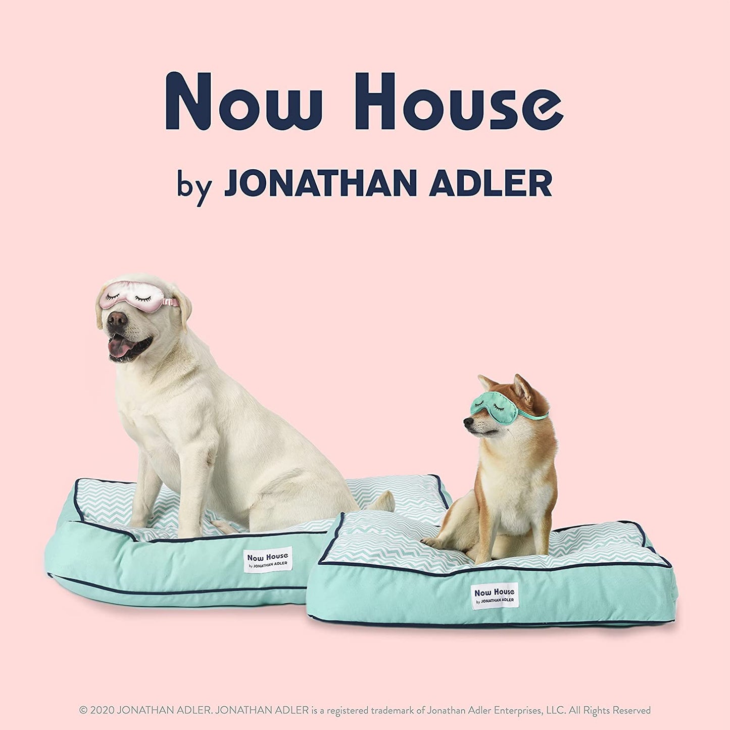 Now House for Pets by Teal Chevron Cushion Dog Bed, Large | Large Dog Bed Washable Dog Bed for Large Dogs by Now House by (FF15504)